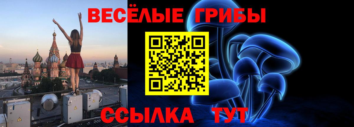 Елабуга  Псилоцибиновые грибы мухоморы  Вход с VPN 